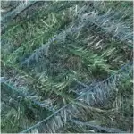 Rico Creative Bubble Print