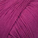 Mayflower Alliance Fine