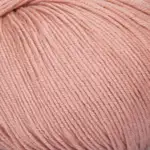 Mayflower Alliance Fine