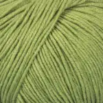 Mayflower Alliance Fine