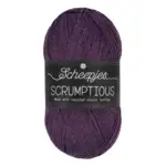 Scheepjes Scrumptious 324 Huckleberry Pie