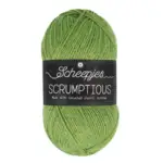 Scheepjes Scrumptious 326 Matcha Chiffon Cake