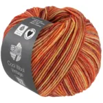 Lana Grossa Cool Wool Vintage 88 Orangebrun