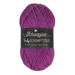 Scheepjes Truly Scrumptious 376 Acai Bowl