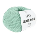 Lang Yarns Carpe Diem 0173