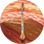 DMC Mouliné Color Variations Broderigarn 4126