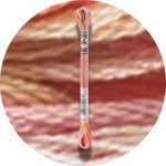 DMC Mouliné Color Variations Broderigarn 4120