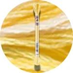 DMC Mouliné Color Variations Broderigarn 4080