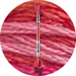 DMC Mouliné Color Variations Broderigarn 4200