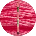 DMC Mouliné Spécial 25 Broderigarn 0893