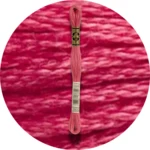 DMC Mouliné Spécial 25 Broderigarn 3832