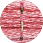 DMC Mouliné Spécial 25 Broderigarn 0899