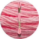 DMC Mouliné Spécial 25 Broderigarn 3708