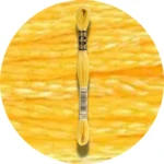 DMC Mouliné Spécial 25 Broderigarn 0743