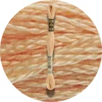 DMC Mouliné Spécial 25 Broderigarn 3856