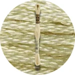 DMC Mouliné Spécial 25 Broderigarn 3047