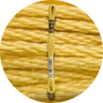 DMC Mouliné Spécial 25 Broderigarn 3821