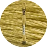 DMC Mouliné Spécial 25 Broderigarn 0834