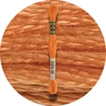 DMC Mouliné Spécial 25 Broderigarn 0721