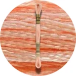 DMC Mouliné Spécial 25 Broderigarn 0353