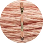 DMC Mouliné Spécial 25 Broderigarn 3771