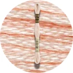 DMC Mouliné Spécial 25 Broderigarn 0948