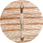 DMC Mouliné Spécial 25 Broderigarn 3774