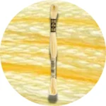 DMC Mouliné Spécial 25 Broderigarn 0745