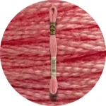 DMC Mouliné Spécial 25 Broderigarn 0760