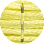 DMC Mouliné Spécial 25 Broderigarn 0011