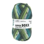 Lang Yarns Super Soxx Color 4-ply 541