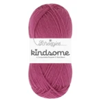 Scheepjes Kindsome 723 Heather