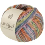 Lana Grossa Landlust die Sockenwolle Seide 336 Laks/Orange/Grå/Mint/Rosa/Citrongul/Gråblå stribet